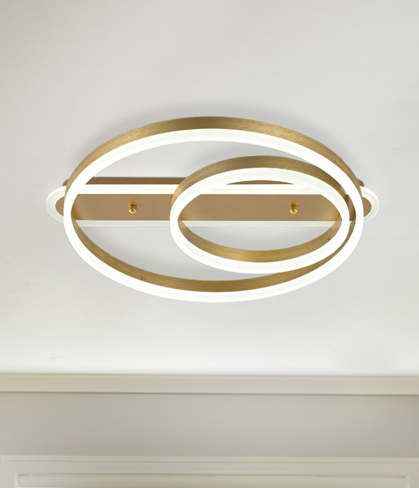 크리안A타입50W LED방등 안방전등